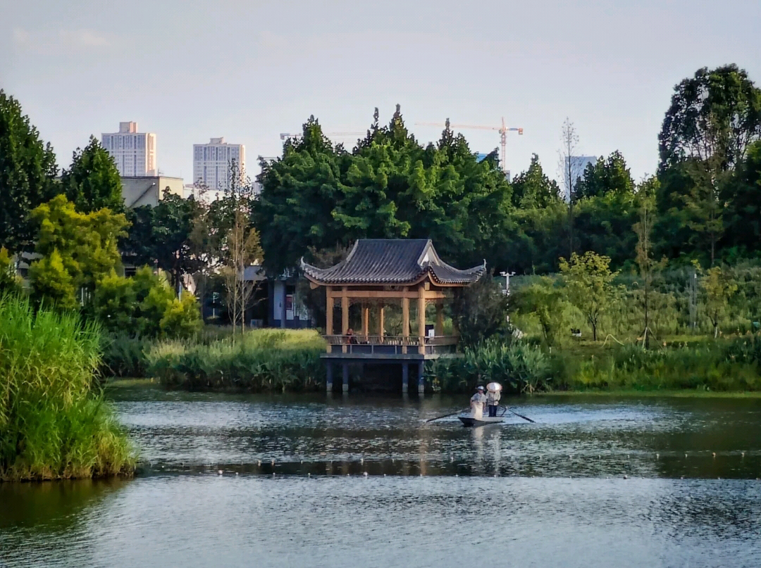 image003.png
