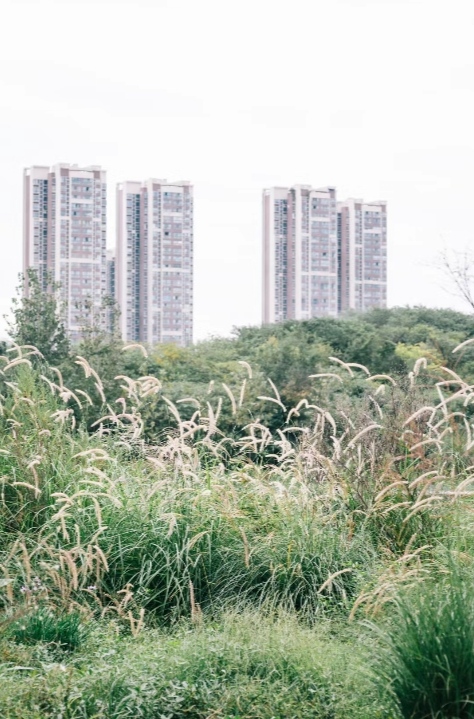 image001.jpg