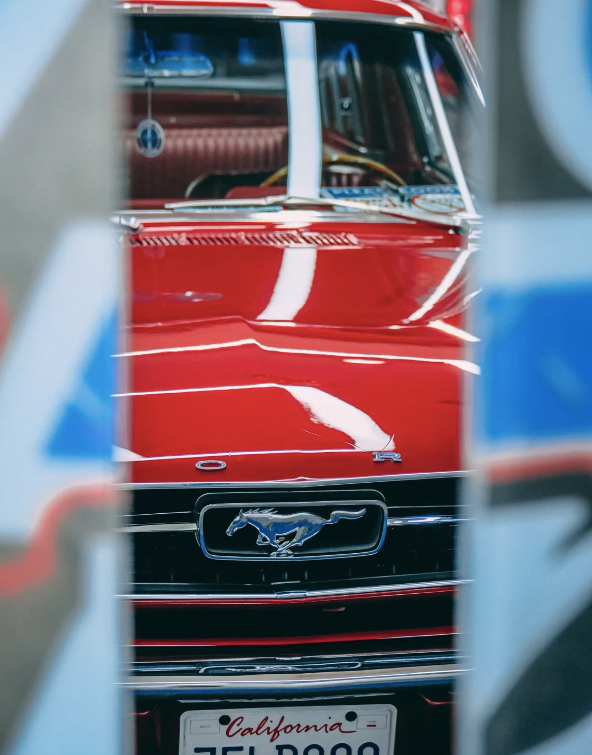 image003.png